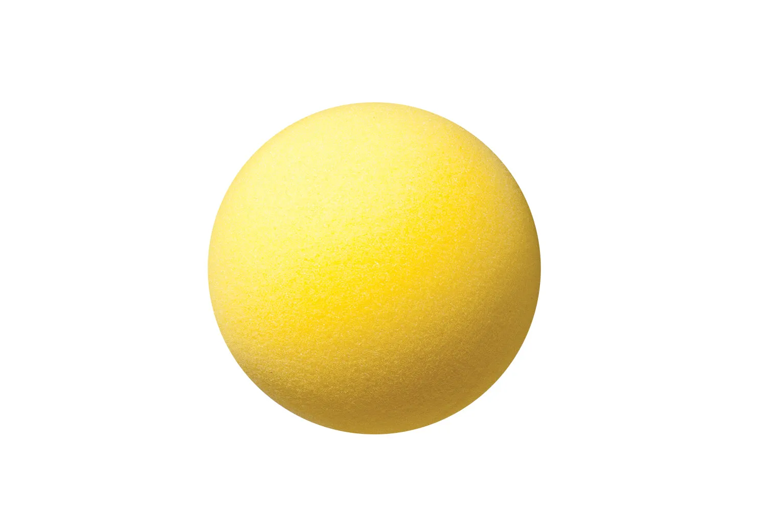 Champion Sports Uncoated Regular Density Foam Balls 3" to 8.5"