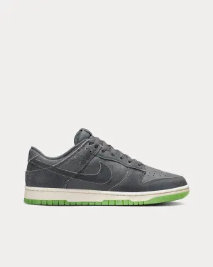 Dunk Low Retro PRM Iron Grey / Phantom / Scream Green / Ghost Green Low Top Sneakers