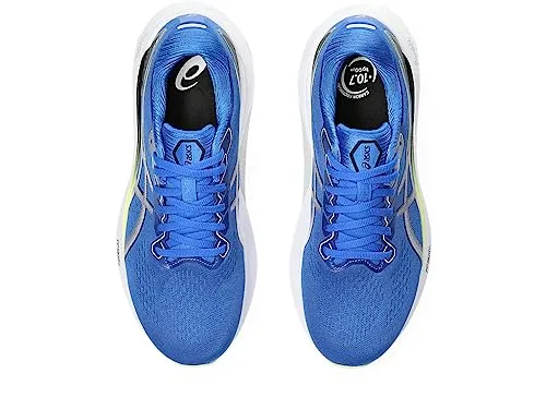 Gel-Kayano 30 - Men's