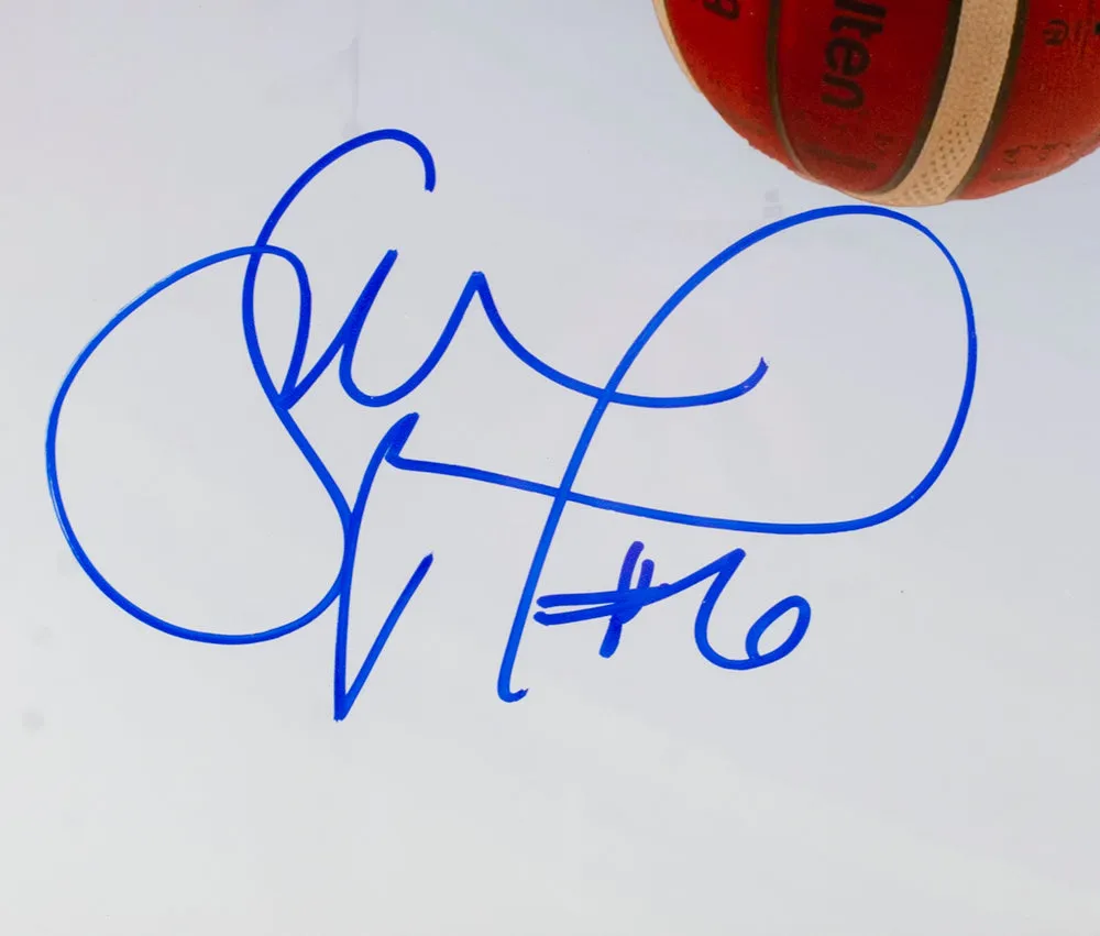 Sue Bird Signed Framed 16x20 USA Basketball Collage Photo JSA Steiner